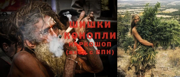 мдпв Осинники